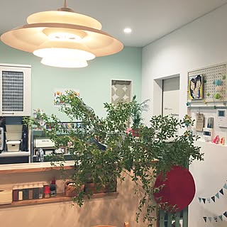 キッチン/おじいちゃん ありがとう♪/ドウダンツツジ/植物/2016.5.22...などのインテリア実例 - 2016-05-22 21:14:24