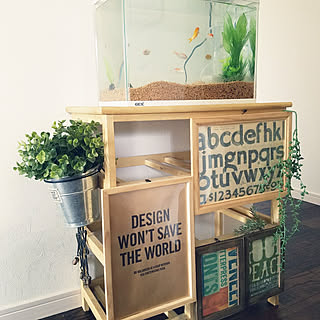 玄関 入り口 金魚水槽のインテリア実例 Roomclip ルームクリップ 玄関 入り口 金魚水槽のインテリア実例 Roomclip ルームクリップ