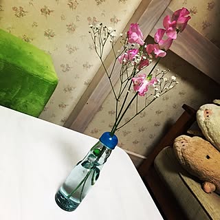 ラムネ瓶 ラムネの空き瓶のインテリア実例 Roomclip ルームクリップ