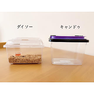 ダイソー 虫かごの商品を使ったおしゃれなインテリア実例 Roomclip ルームクリップ