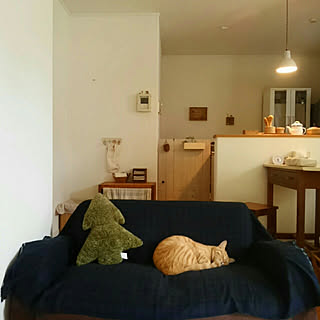 部屋全体/RCとちぎ苺の会/ほっこり*/ナチュラル/ナチュラルインテリア...などのインテリア実例 - 2019-06-15 13:35:39