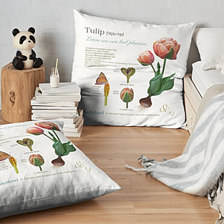 見てくれてありがとうございます♡/庭/ホワイトインテリア/チューリップ/季節を愉しむ...などのインテリア実例 - 2019-12-18 22:19:44