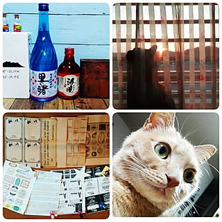 いいね&フォローありがとうございます☆/温かいお言葉をどうもありがとうございます/masu 様/sanbi 様/ねこ窓...などのインテリア実例 - 2017-05-11 20:10:46