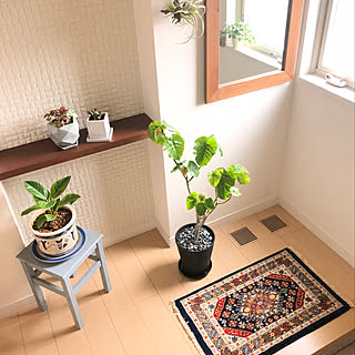 玄関 入り口 ヒポエステスのインテリア実例 Roomclip ルームクリップ