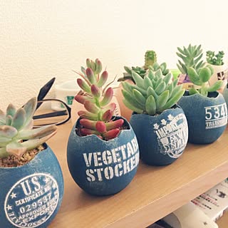 多肉植物 卵の殻リメイクのインテリア実例 Roomclip ルームクリップ