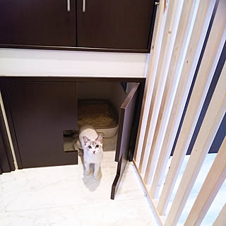 玄関/入り口/猫用トイレ/いつもいいねやコメありがとうございます♡/コメントお気遣いなく(⁎ᴗ͈ˬᴗ͈⁎)/ホワイトインテリア...などのインテリア実例 - 2020-02-05 09:52:23