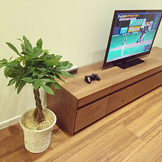 観葉植物 テレビ横のインテリア実例 Roomclip ルームクリップ