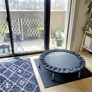 トランポリンカバーのインテリア実例 Roomclip ルームクリップ