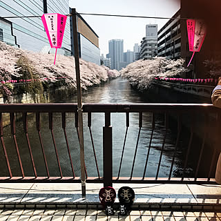 東京の家/二住生活/桜見物/ルチャドールドーラカイロのインテリア実例 - 2018-03-28 12:32:33