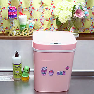 キッチン/いいねありがと(//∇//)/コメントありがと♡/築30年/昭和のお家...などのインテリア実例 - 2019-04-26 07:32:52