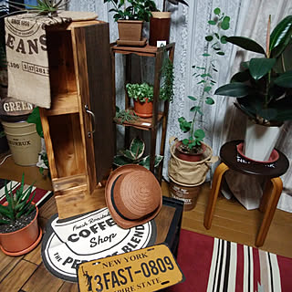 棚/DIY棚完成★/トイレ掃除道具収納diy/セリアの焼き目付き木板/セリアの取っ手...などのインテリア実例 - 2018-08-03 20:07:40