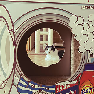 猫グッズ オーサムストアのインテリア実例 Roomclip ルームクリップ