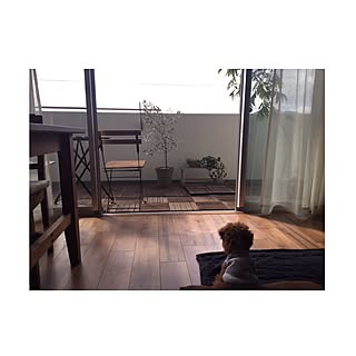 シンプル 犬ケージのインテリア実例 Roomclip ルームクリップ