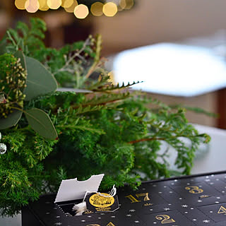 紅茶/ティータイム/クリスマス/モダンインテリア/グリーンのある暮らし...などのインテリア実例 - 2019-12-02 19:50:01