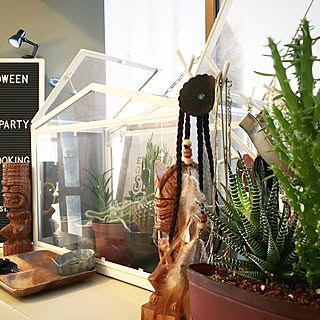 玄関/入り口/ティキ/アクセサリー収納/多肉植物/サボテンハウス...などのインテリア実例 - 2017-11-02 17:02:27