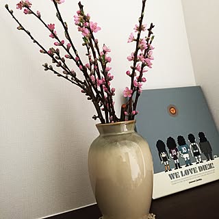 梅 切り花のインテリア実例 Roomclip ルームクリップ