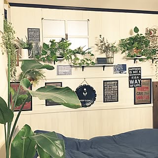ベッド周り/一人暮らし/観葉植物/サリュ!雑貨/板壁DIY...などのインテリア実例 - 2017-01-20 09:32:05