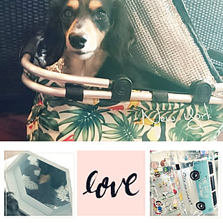 RC名古屋同盟/いつもいいねやコメありがとうございます♡/RC愛知同盟/ハワイインテリア/インスタもcocosorasaku...などのインテリア実例 - 2017-11-15 08:35:09