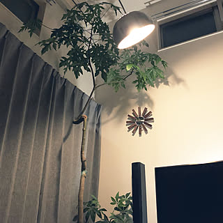 ブラキキトンのインテリア実例 2ページ目 Roomclip ルームクリップ