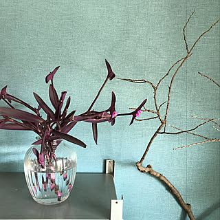 ムラサキゴテンのインテリア実例 Roomclip ルームクリップ