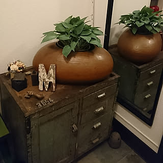 玄関/入り口/古道具/ヨーガンレール/脂ぎったおっさん工具棚/ホスタ...などのインテリア実例 - 2019-05-13 14:31:18