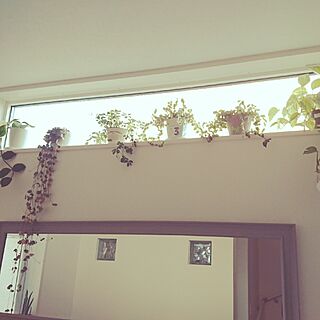 垂れ下がる植物好きのインテリア実例 Roomclip ルームクリップ