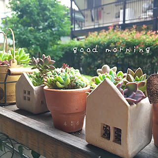 ベッド周り/オーブン陶器/ベランダガーデン/多肉植物寄せ植え/多肉植物のある暮らし...などのインテリア実例 - 2018-06-24 08:47:20