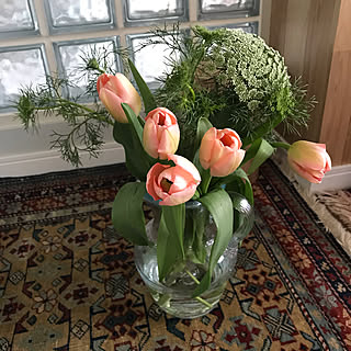 チューリップ/多頭飼いの家/お花のある暮らし/ガラスブロック/リビングのインテリア実例 - 2020-02-24 21:50:03