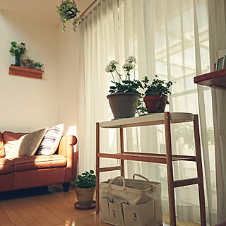 リビング/ニトリ/バスケット/クッション/Botanical Style...などのインテリア実例 - 2018-04-28 15:07:18