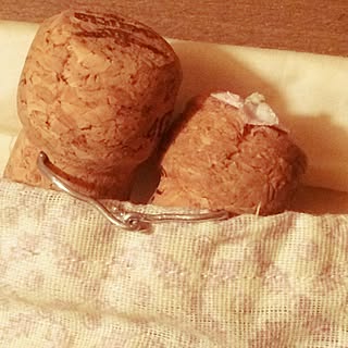 ベッド周り/心配性部/ぼっくり部/少年の心を忘れずにがモットー/中途半端部/ケチ部...などのインテリア実例 - 2016-11-07 23:40:20