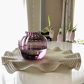 ホタルブクロのインテリア実例 Roomclip ルームクリップ ホタルブクロのインテリア実例 Roomclip ルームクリップ