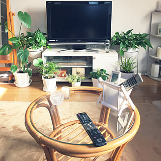 観葉植物 フラワースタンドのインテリア実例 Roomclip ルームクリップ