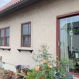 ガーデニング 掃き出し窓のインテリア実例 Roomclip ルームクリップ