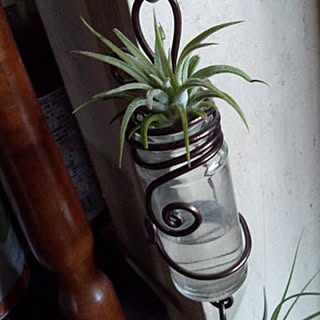 一輪挿し ワイヤークラフトのインテリア実例 Roomclip ルームクリップ