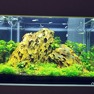 水槽 ニッチのインテリア実例 Roomclip ルームクリップ