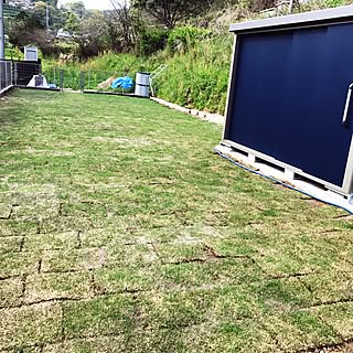 玄関/入り口/物置/芝生の庭/Myhome/SURFER'S HOUSE...などのインテリア実例 - 2017-04-15 17:38:27