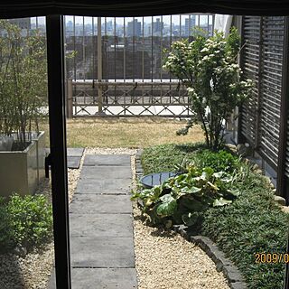 ルーフバルコニー 空中庭園のインテリア実例 Roomclip ルームクリップ
