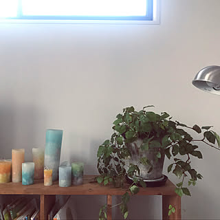 カンガルーアイビーのインテリア実例 Roomclip ルームクリップ