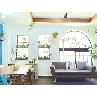 ベストショット/ZOO会♡/関西好きやねん会/中古住宅/【植中毒】/NO GREEN NO LIFE...などのインテリア実例 - 2016-04-13 08:24:39