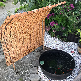 庭 よしずのインテリア実例 Roomclip ルームクリップ