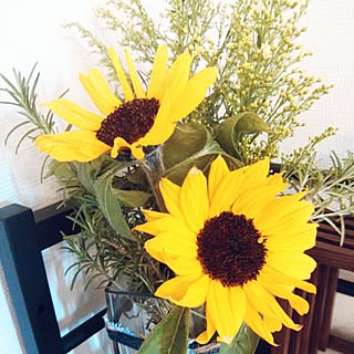 棚/ひまわり/向日葵/Sunflower/RC湘南/ローズマリー...などのインテリア実例 - 2016-04-15 08:13:14