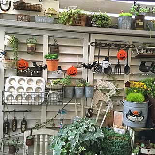 壁/天井/ハロウィン/多肉植物/ベランダガーデン/ハロウィンディスプレイ...などのインテリア実例 - 2016-09-13 19:49:46