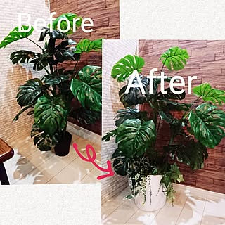 リビング/新築一戸建て/海の見える家/観葉植物が欲しい/いいねと、フォローの押し逃げすみません!...などのインテリア実例 - 2017-07-03 18:30:25
