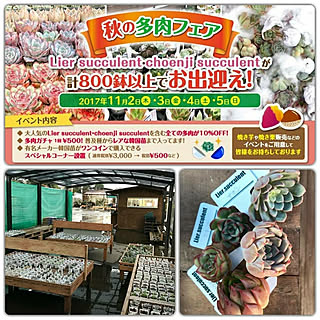 大正堂/多肉植物/那須塩原/植中毒/イベント...などのインテリア実例 - 2017-11-02 07:18:15