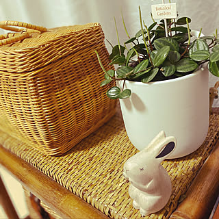 うさぎグッズ うさぎと暮らすのインテリア実例 Roomclip ルームクリップ