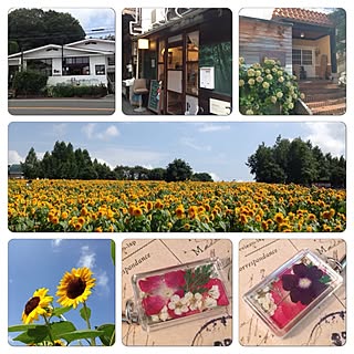 バス/トイレ/バス・トイレではありません/雑貨屋さん巡り❤/ひまわり畑/部屋の写真じゃないけど‥のインテリア実例 - 2014-08-17 23:24:58