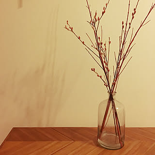 ピンクネコヤナギのインテリア実例 Roomclip ルームクリップ