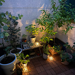 夜のライトアップのインテリア実例 Roomclip ルームクリップ