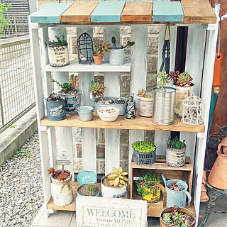 玄関/入り口/多肉棚/多肉植物/NO GREEN NO LIFE/リメ缶/セリア...などのインテリア実例 - 2018-04-17 14:42:37