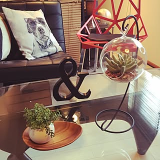 リビング/モダン/チェアワン/イサムノグチ/北欧...などのインテリア実例 - 2016-01-01 20:15:25